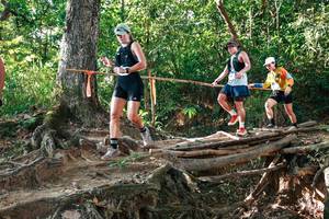 BIB: 
                            <button type="button" onclick="openModal(27552860)" class="btn btn-primary btn-sm float-right btn-popup" data-toggle="modal" data-target=".modal-high-quality">
                        <i class="fas fa-shopping-cart"></i> Add to Cart
                    </button>
                                            <button type="button" onclick="isThisMe(27552860, true)" class="btn btn-success btn-sm float-right btn-popup btn-isme hidden" data-toggle="tooltip" data-placement="bottom" title="นี่คือรูปของคุณใช่ไหม คลิกที่นี่เพื่อเอาเข้าอัลบั้ม">
                        <i class="fas fa-plus"></i> Add to album
                    </button>
                    <button type="button" onclick="isThisMe(27552860, false)" class="btn btn-warning btn-sm float-right btn-popup btn-isnotme hidden">
                        <i class="fas fa-ban"></i> Remove from album
                    </button>